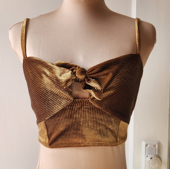 Intimately By Free People Tops - Free People Golden Brown Velvet Tie Front Crop Top